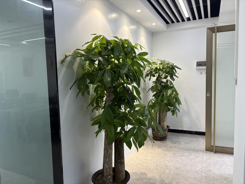 智慧港企业孵化基地写字楼图片14952